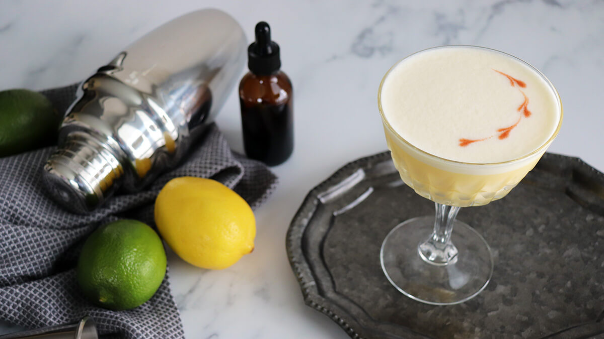 Pisco Sour - Casual Mixologist