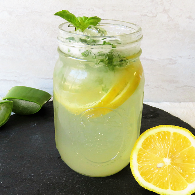 Aloe Refresher Mocktail