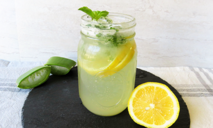 Aloe Refresher Mocktail