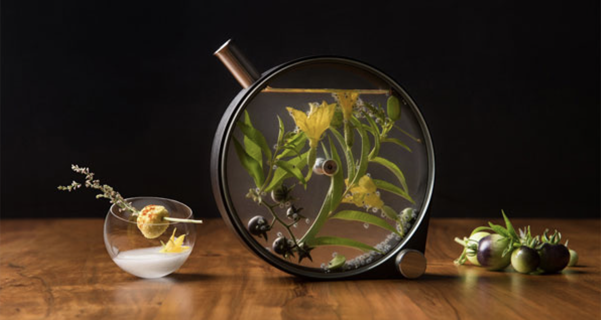 The Ultimate Guide to The Porthole Infuser