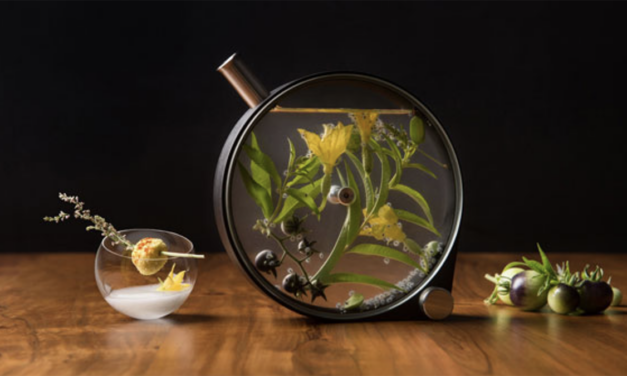 The Ultimate Guide to The Porthole Infuser